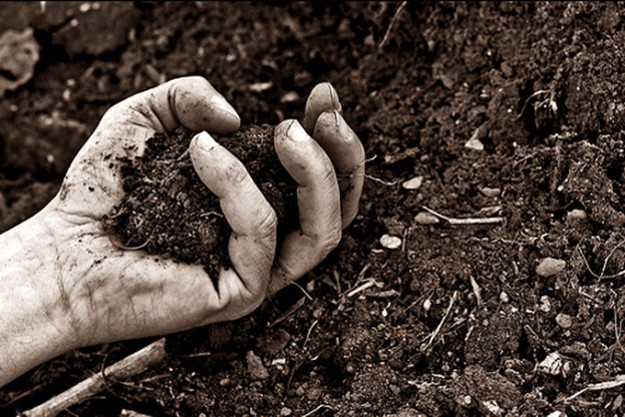 650bb55634c0eb760941c39866cf9fa6