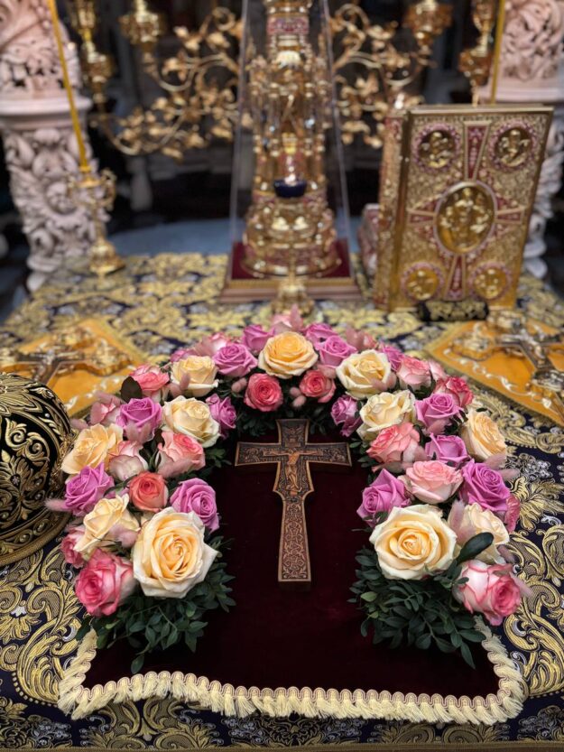 photo_5402558401961127290_y