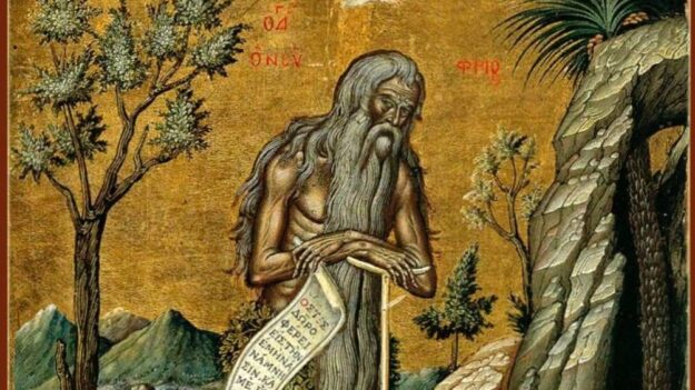 photo_5395647069437423825_y