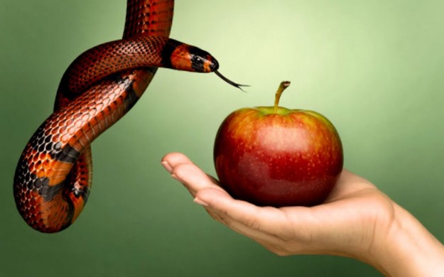 56742245efc4344d348b5627a7328020