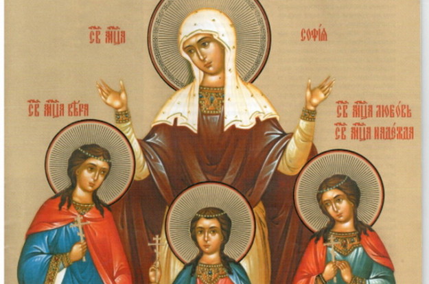 206c8cd422722e01041ea375030da31f