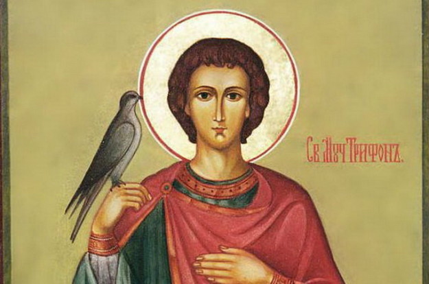 dfa7fd49d2396acf4010b54049fcd589