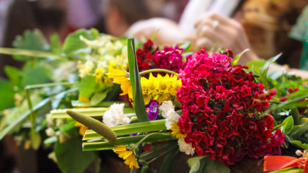 foto-prikmeti-ta-povrja-na-trjtsju_rect_b88d69d7ce94c3ec289784876df2eeb5